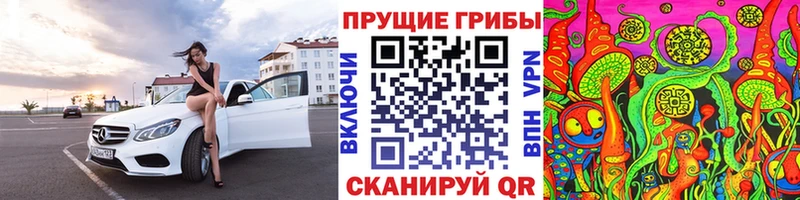 как найти наркотики  Кодинск  Галлюциногенные грибы прущие грибы 