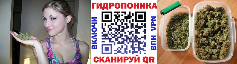Бошки марихуана индика  закладка  Кодинск 